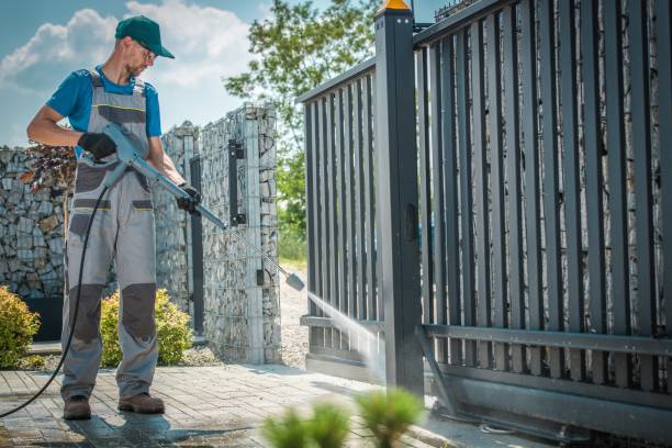 Best Dumpster Area Cleaning  in Kurtistown, HI